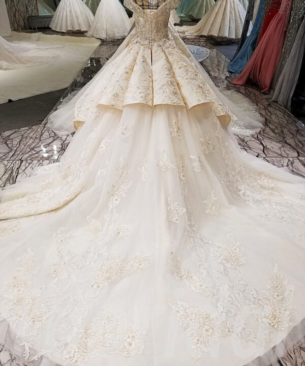 ball gown wedding dress-tp0002-15