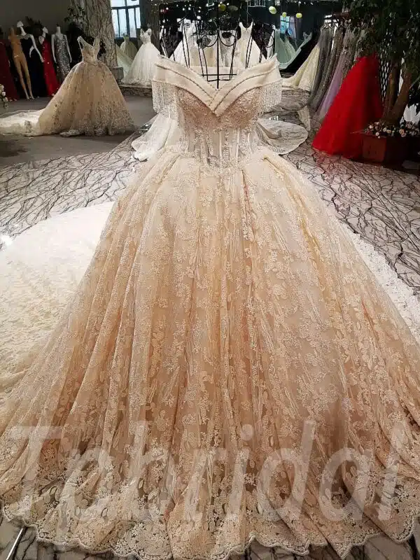 champagne lace wedding dress-tp0029-01