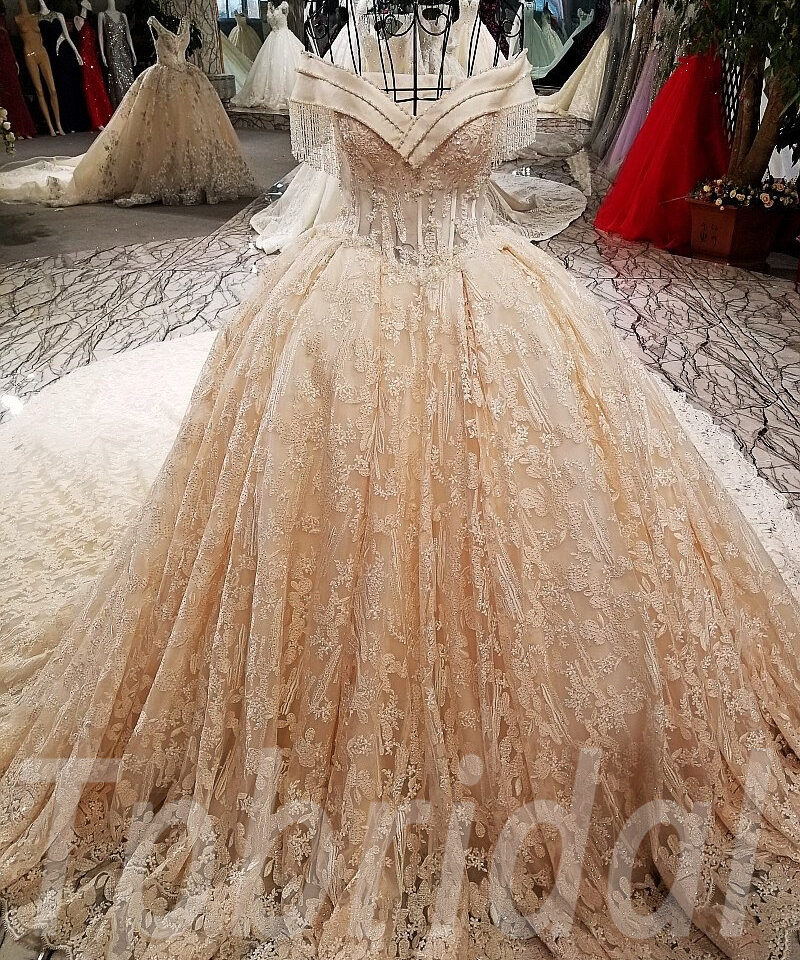 champagne lace wedding dress-tp0029-01