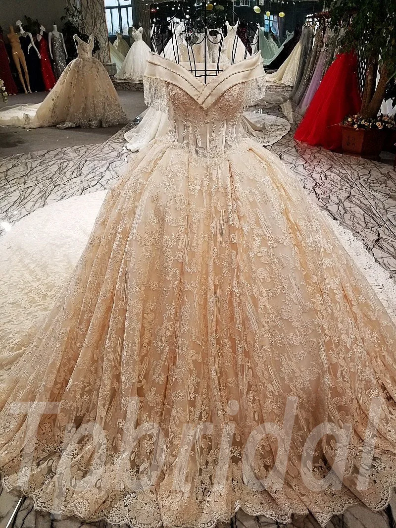 champagne lace wedding dress-tp0029-01