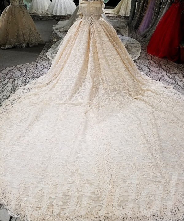 champagne lace wedding dress-tp0029-05