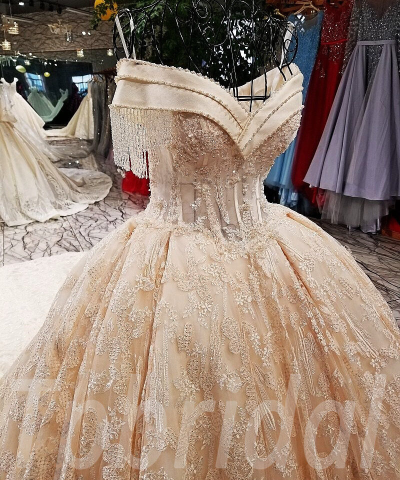 champagne lace wedding dress-tp0029-07