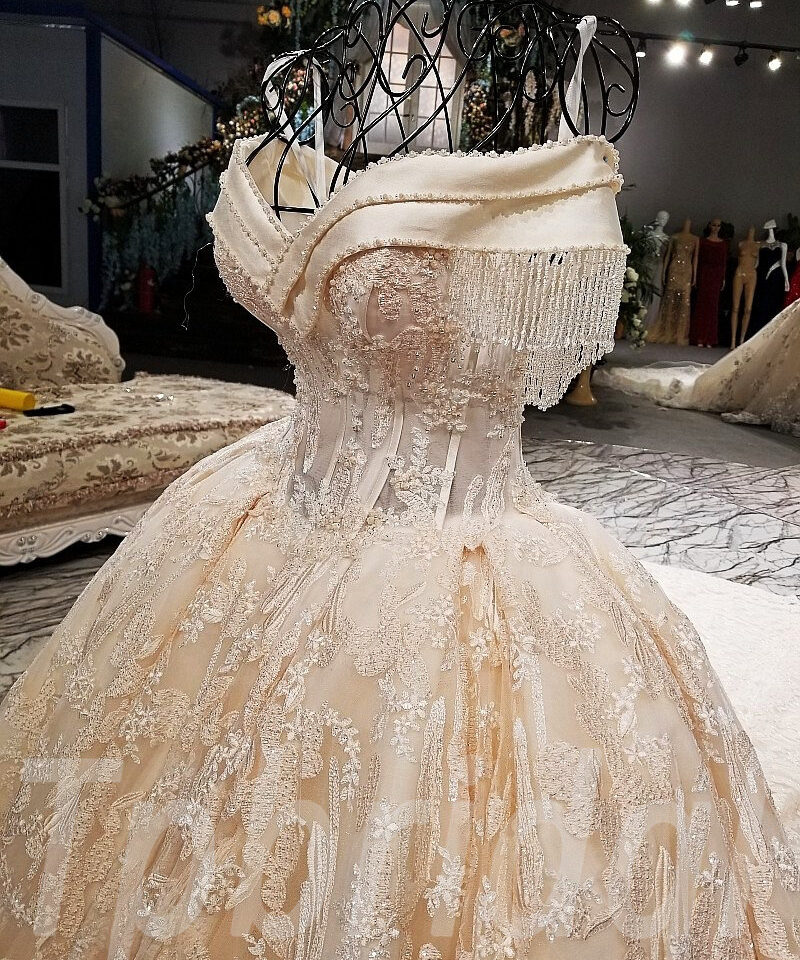 champagne lace wedding dress-tp0029-10