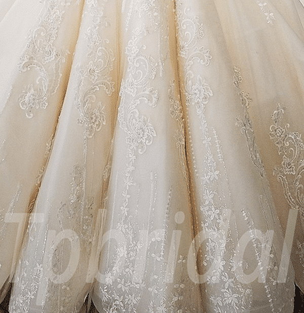 champagne wedding dress-tp0021-04