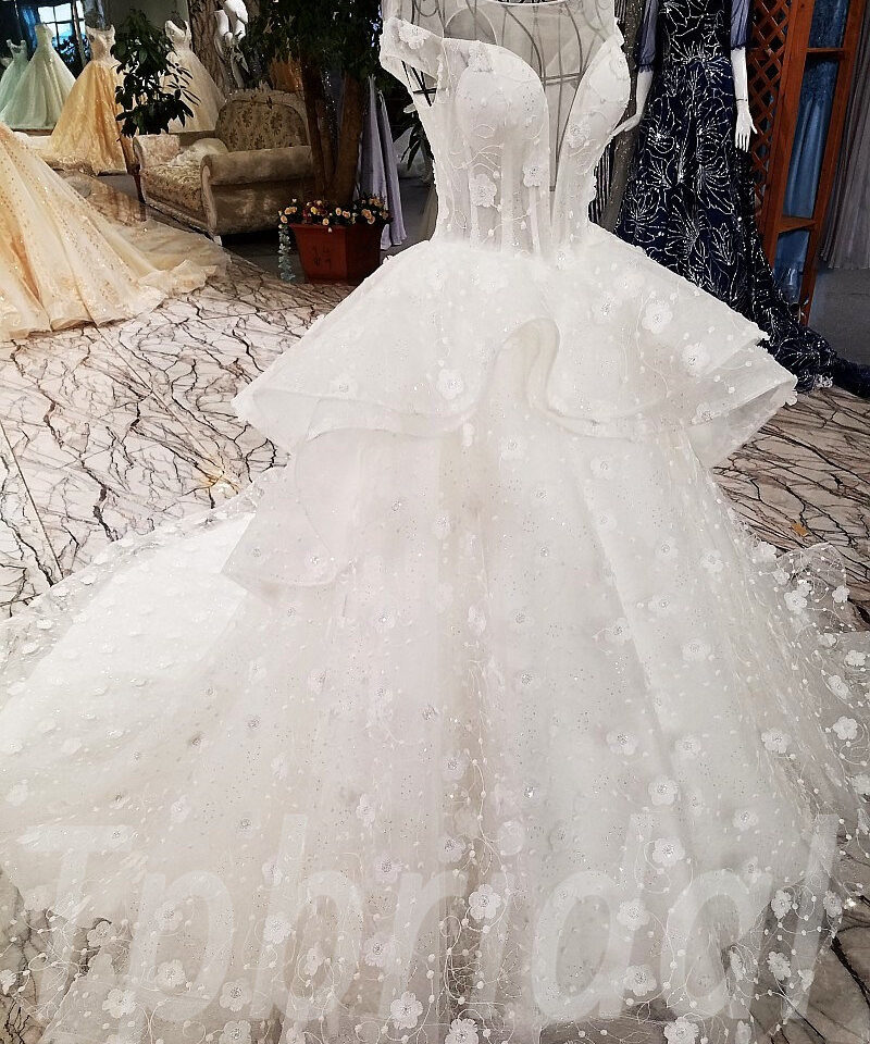 ball gown wedding dress-134-09