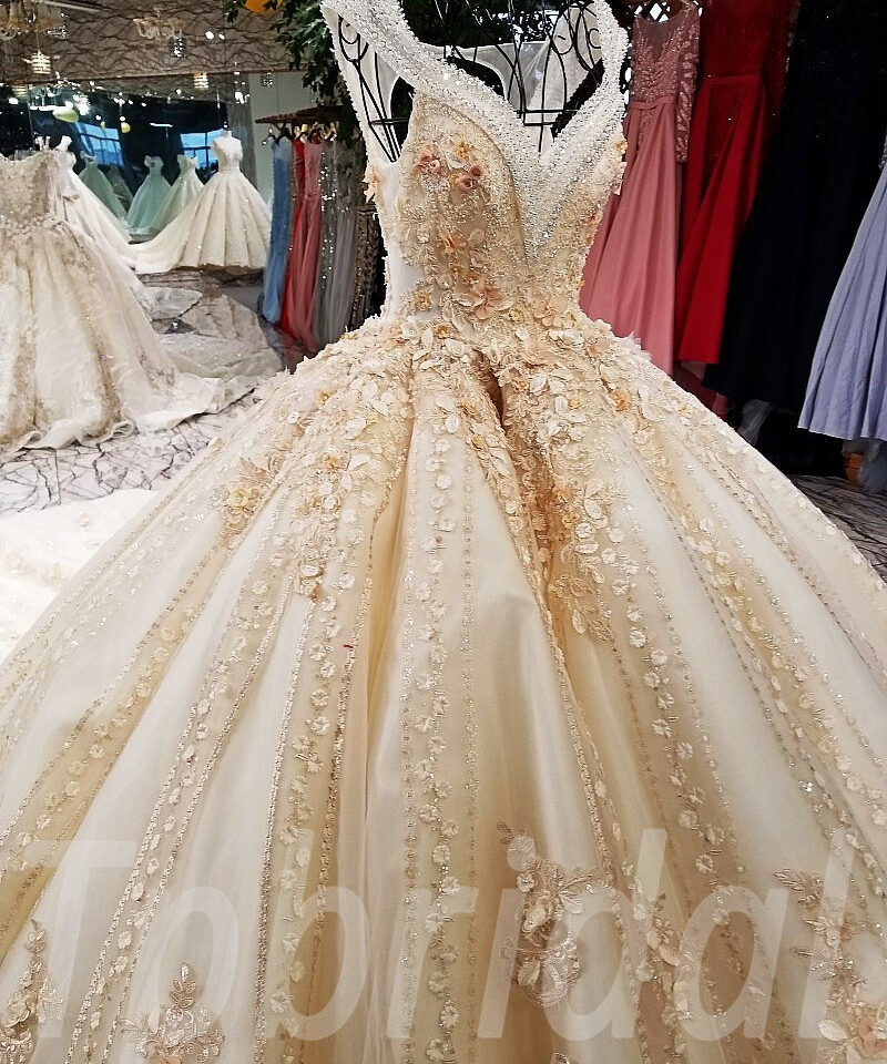 champagne bridal dress-tp0053-09