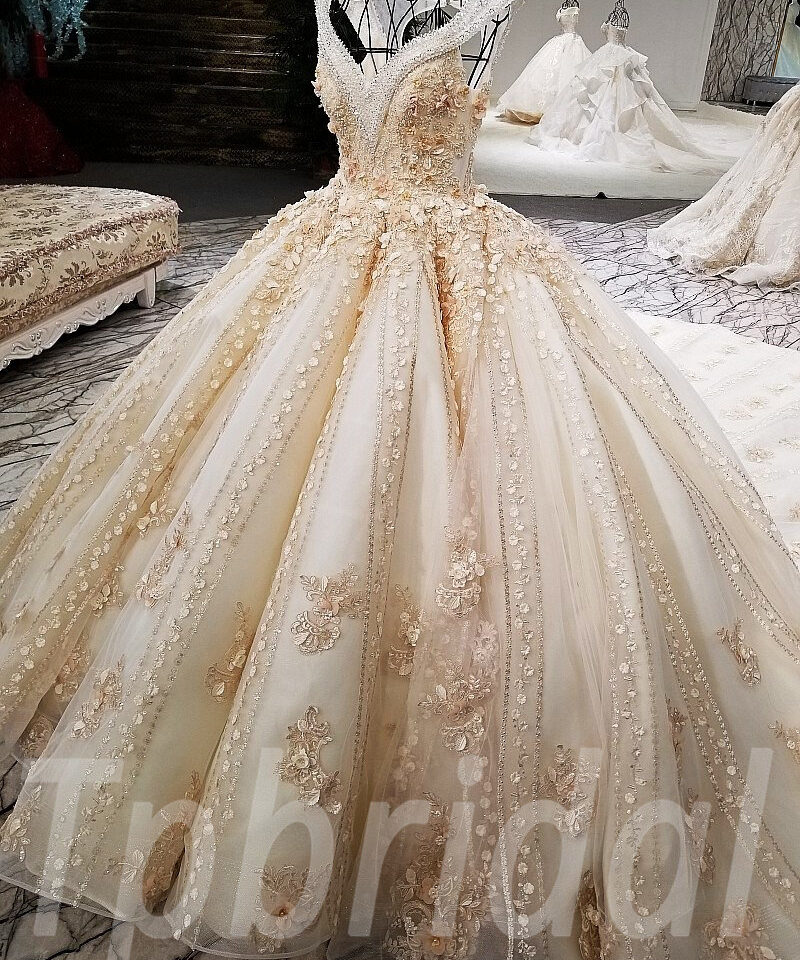 champagne bridal dress-tp0053-13