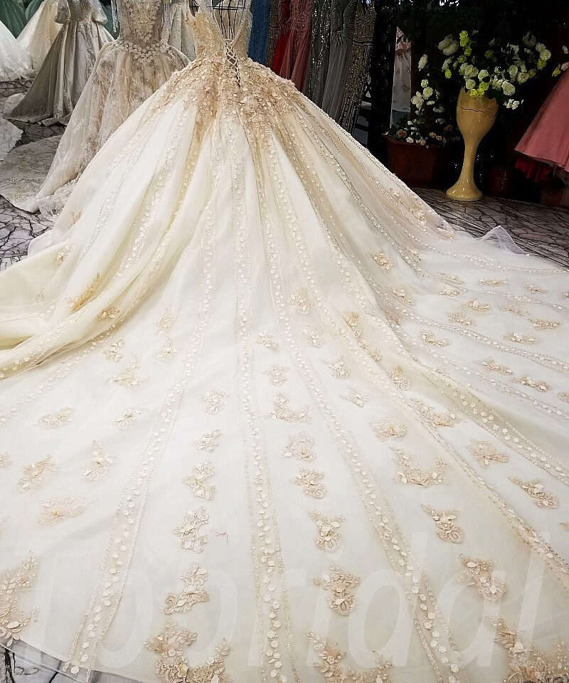 champagne bridal dress-tp0053-18