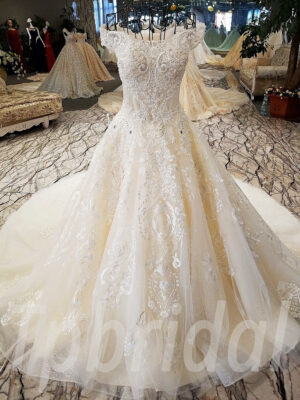 lace wedding dress aline-138-01