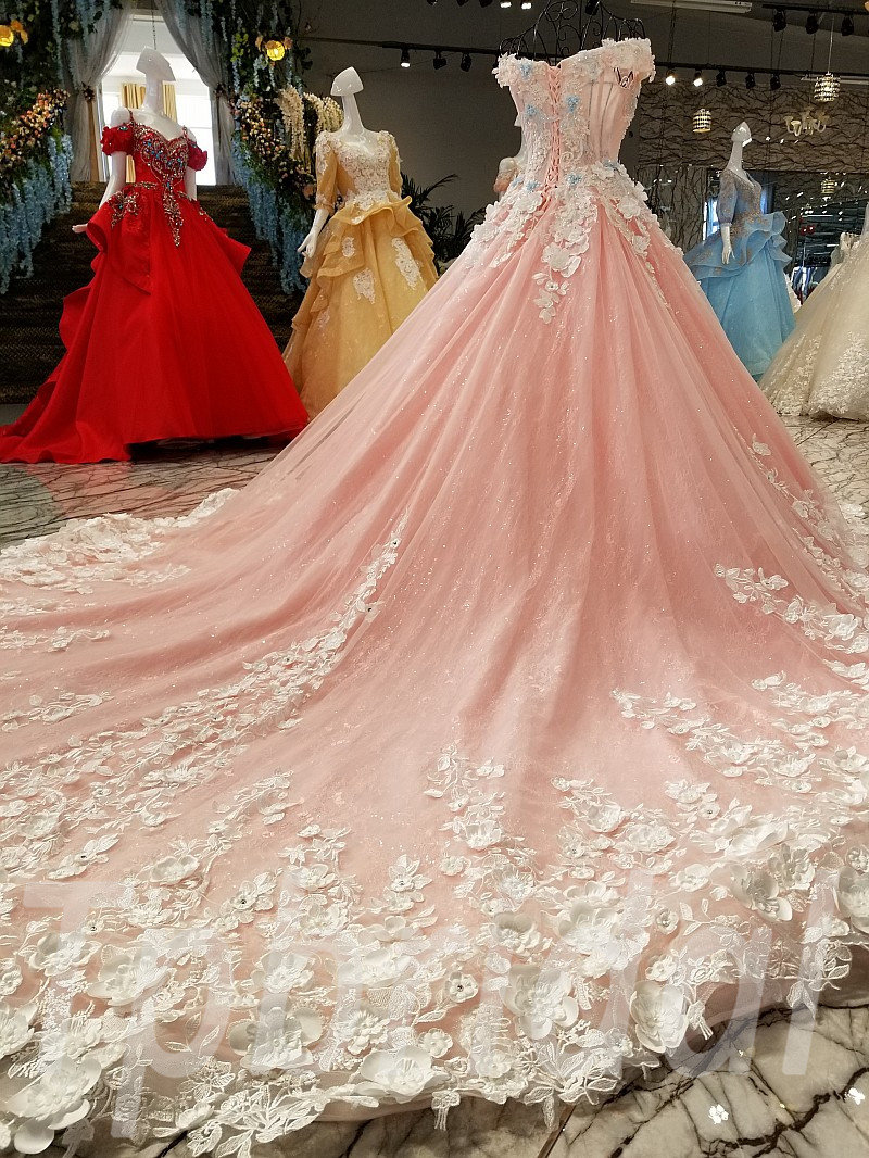 Pale Pink Court Train Wedding Dress with Lace Appliques, Sleeveless Bridal  Dress – Simibridaldresses