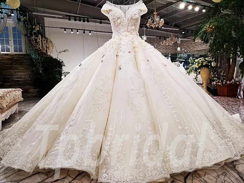 plus size wedding ball gowns