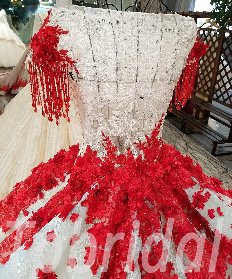 ball gown plus size 194-05