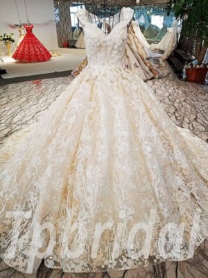 lace wedding dress champagne 180-02