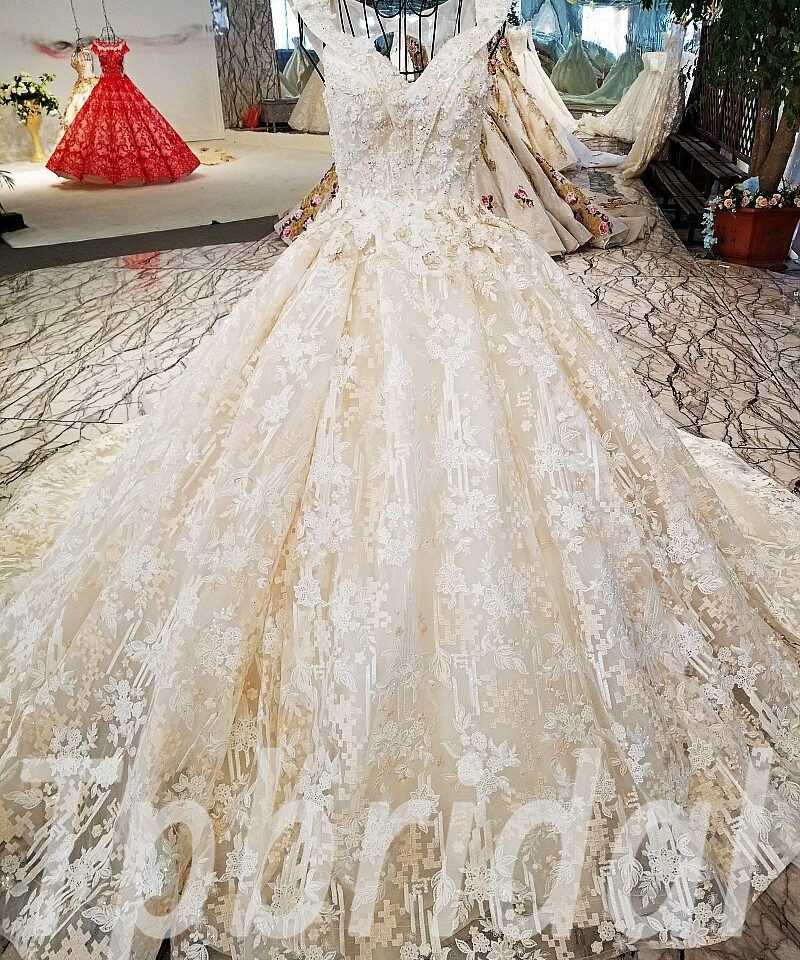 lace wedding dress champagne 180-02