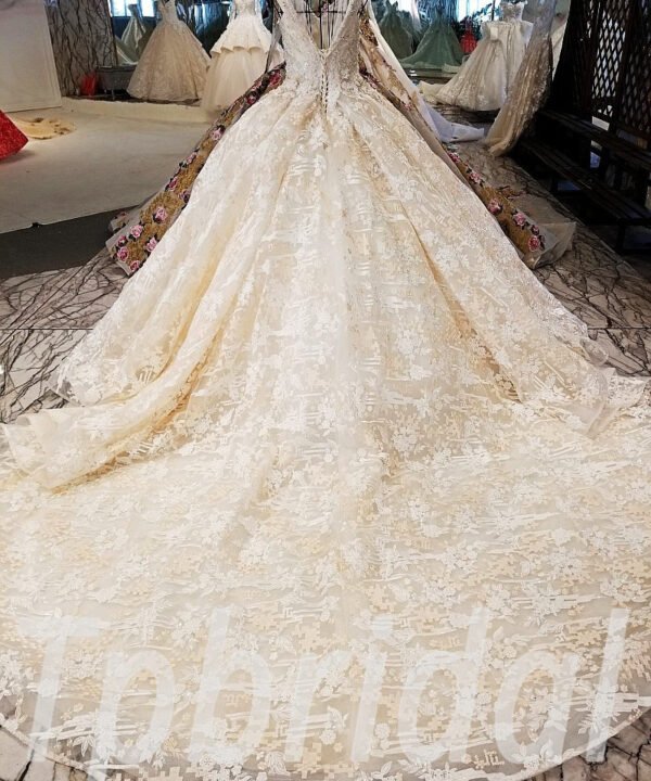 lace wedding dress champagne 180-09