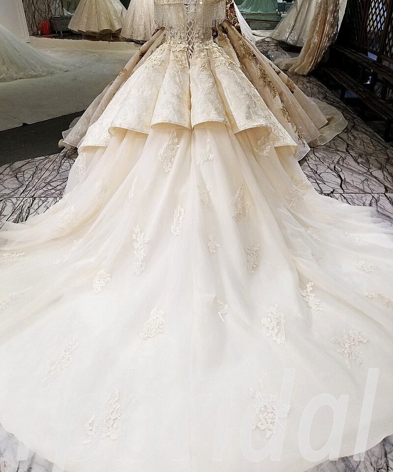 lace wedding dress champagne 185-08