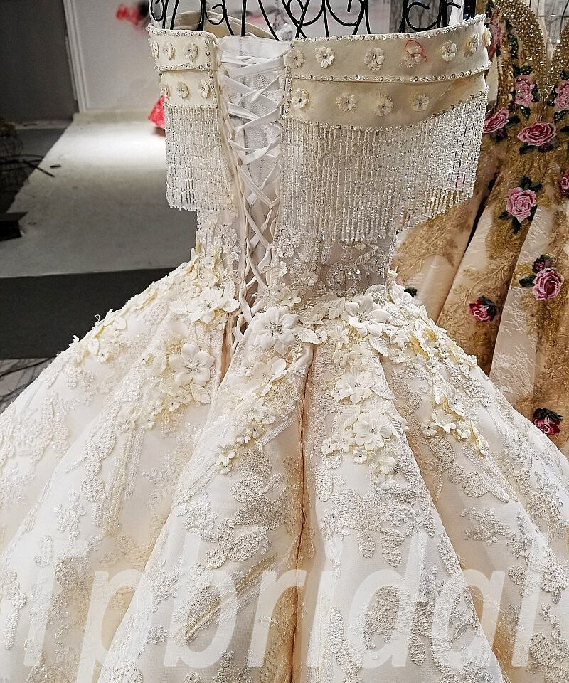 lace wedding dress champagne 185-09