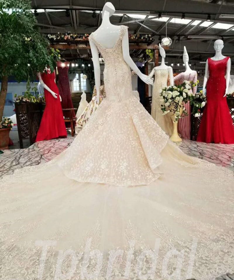 mermaid wedding dress champagne 162-05