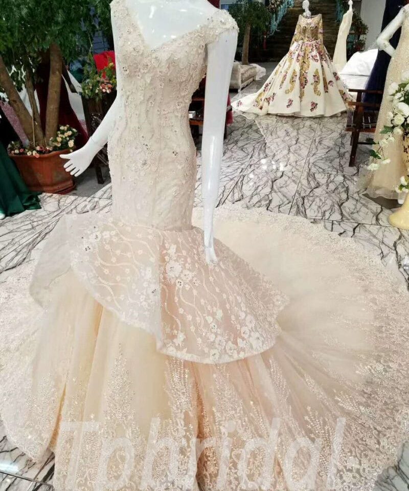 mermaid wedding dress champagne 162-09