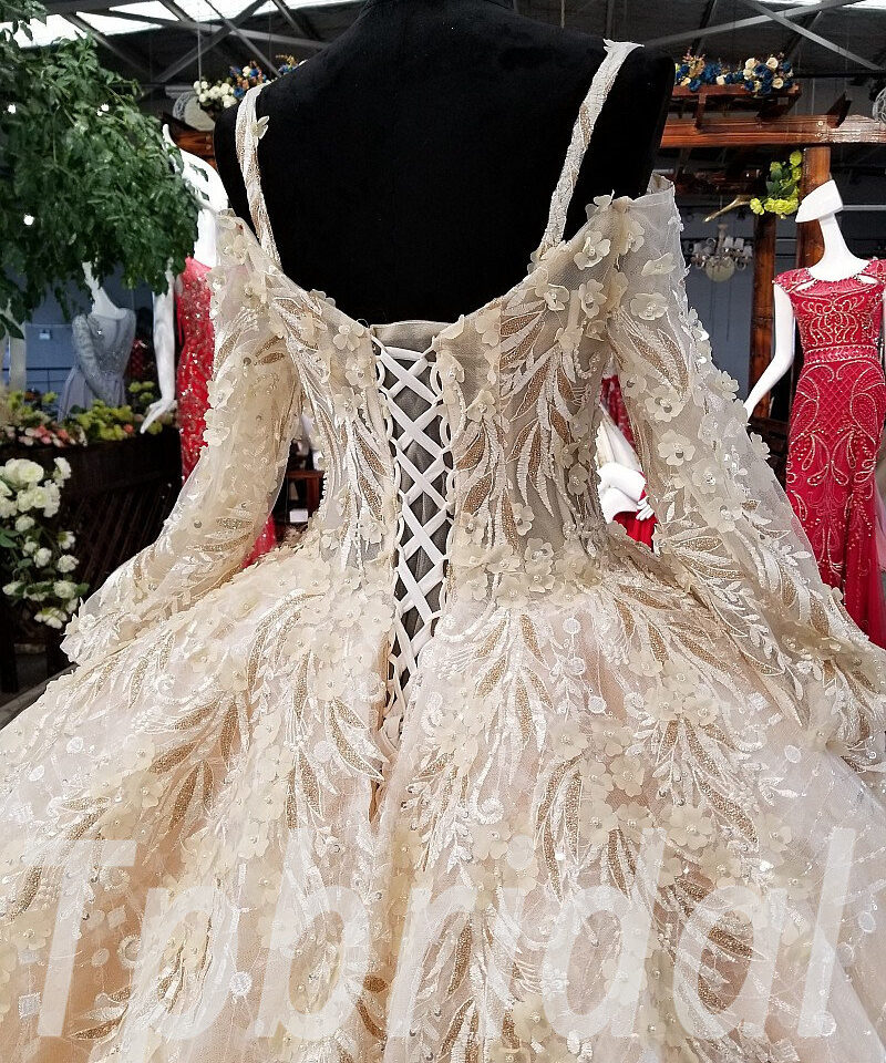 champagne ball gown wedding dress 0244-06