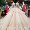 champagne ball gown wedding dress 0244-10