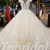 champagne lace wedding dress 0239-04