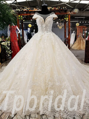 champagne lace wedding dress 0239-04