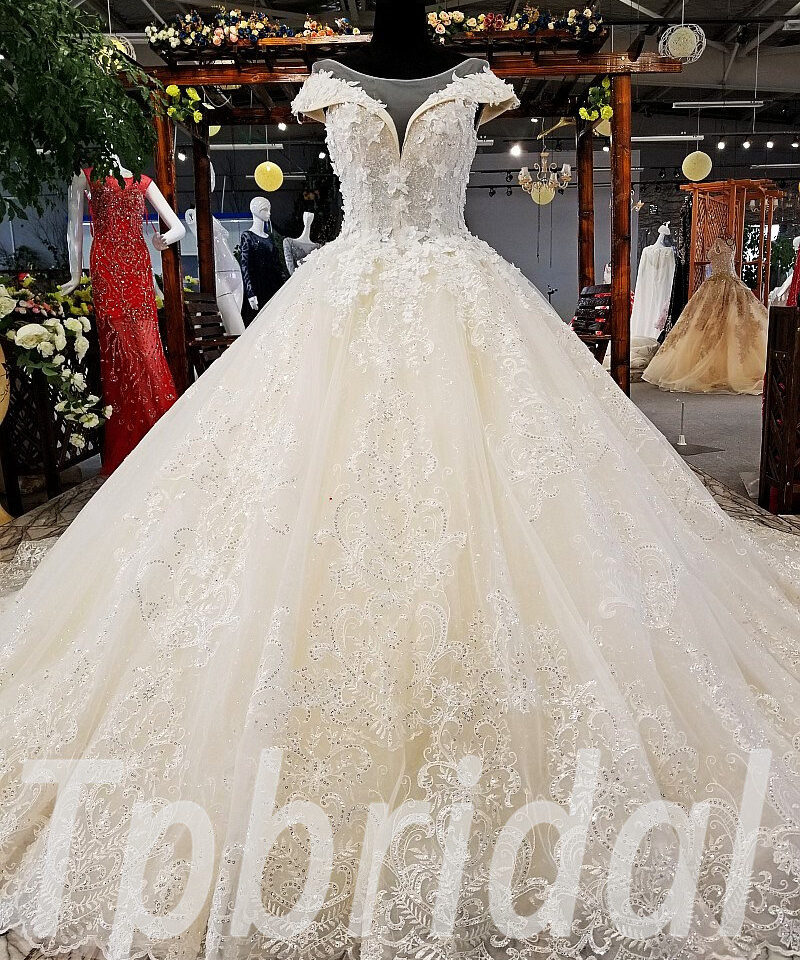 champagne lace wedding dress 0239-04