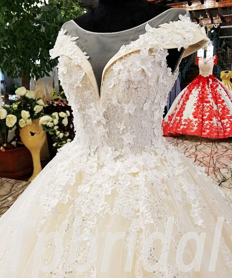 champagne lace wedding dress 0239-05