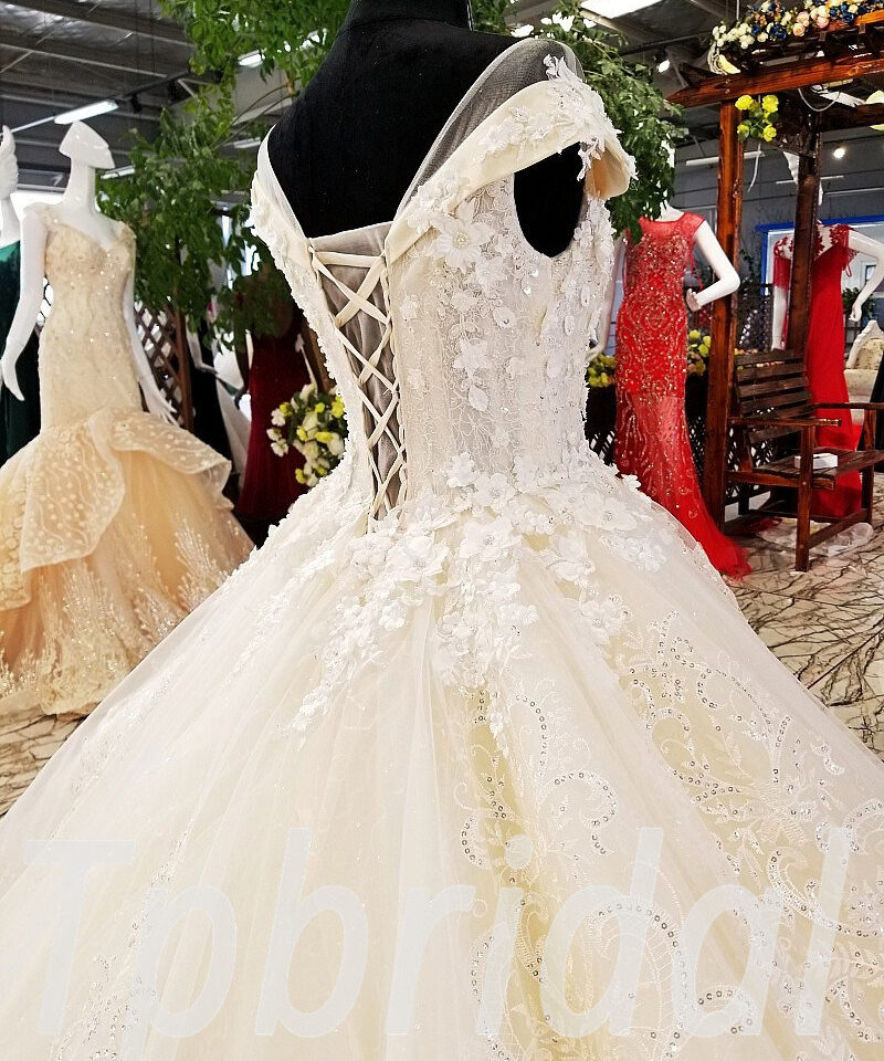 champagne lace wedding dress 0239-06