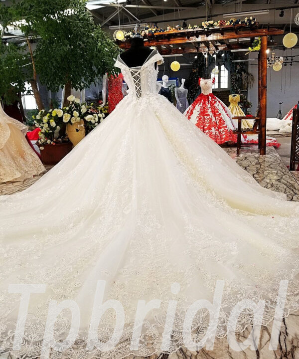 champagne lace wedding dress 0239-09