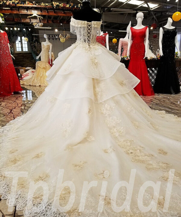 champagne wedding dress plus size 0231-01