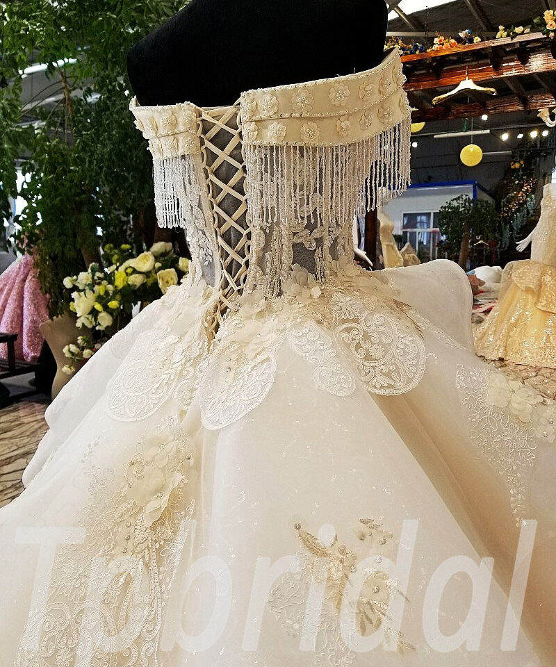 champagne wedding dress plus size 0231-02