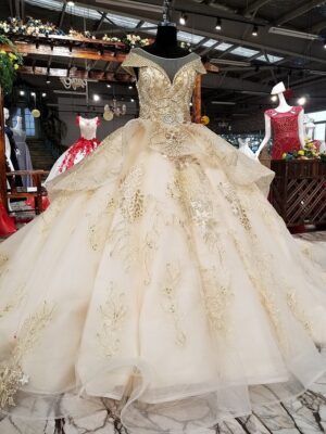 Champagne wedding dress illusion neckline 0245-02