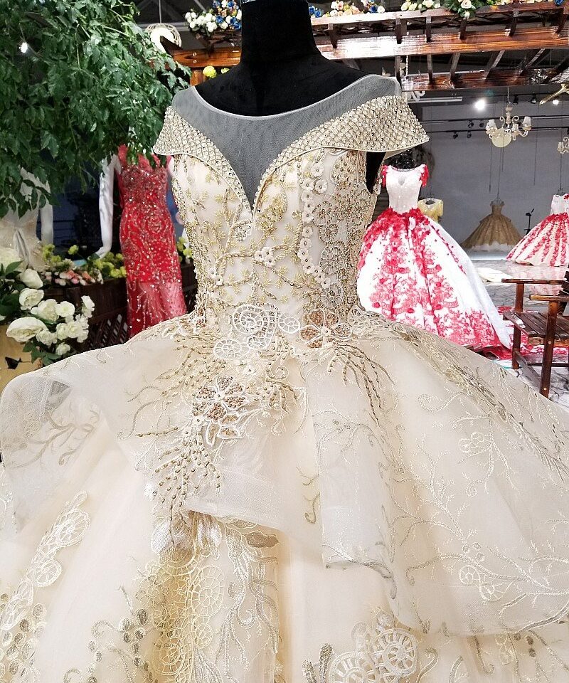 Champagne wedding dress illusion neckline 0245-04