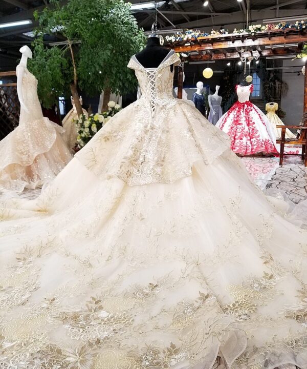 Champagne wedding dress illusion neckline 0245-05