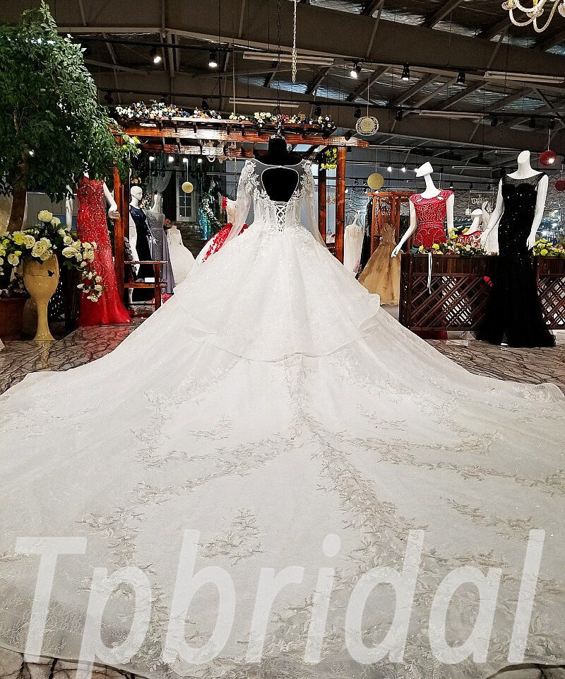 ball gown wedding dress long train 0250-06