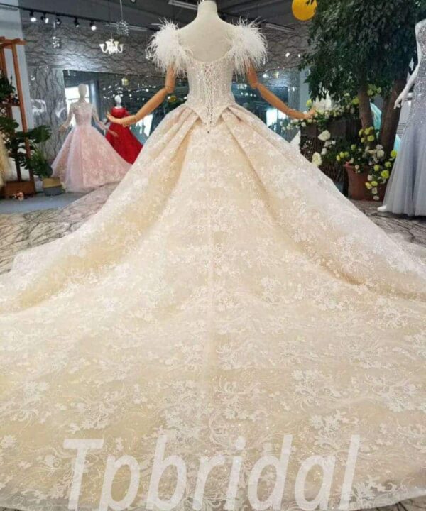 feather wedding dress-20355-06