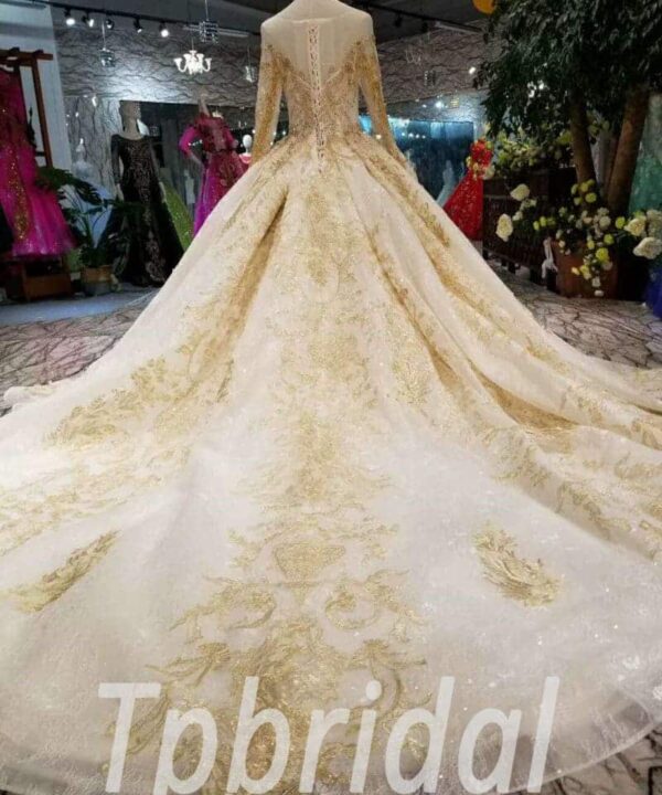 gold wedding dress with sleeve-20339-06