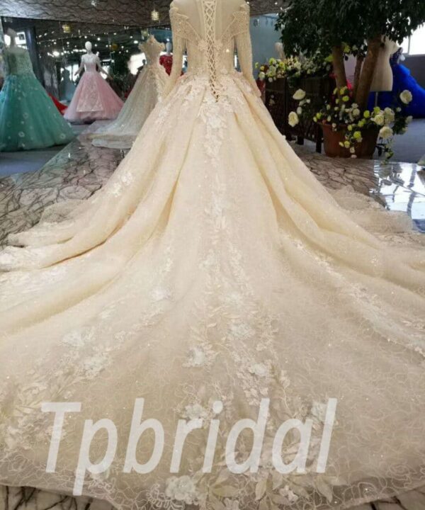 champagne lace wedding dress-20363-04