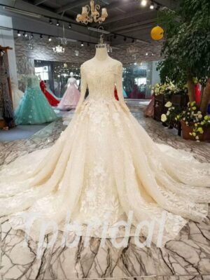 champagne lace wedding dress-20363-05