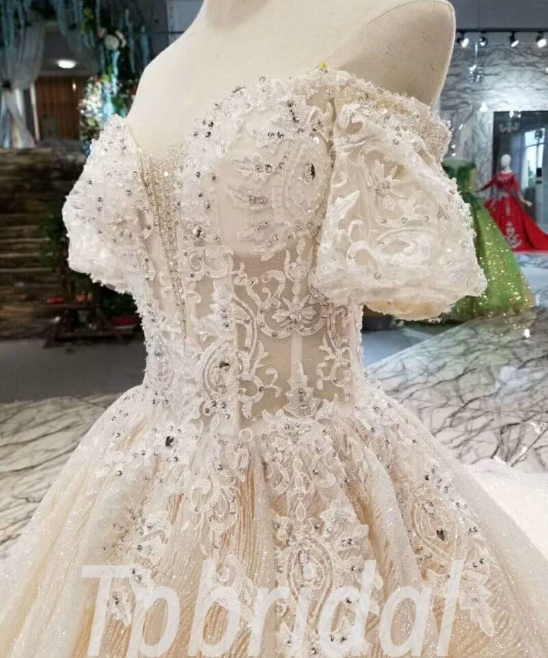 champange wedding dress plus size-20381-04