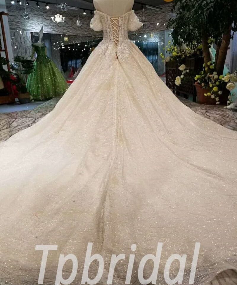 champange wedding dress plus size-20381-05