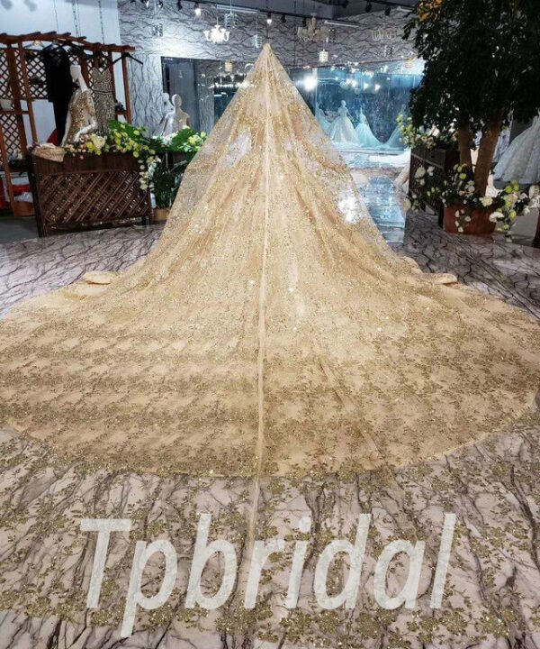 gold lace wedding dress 550-09