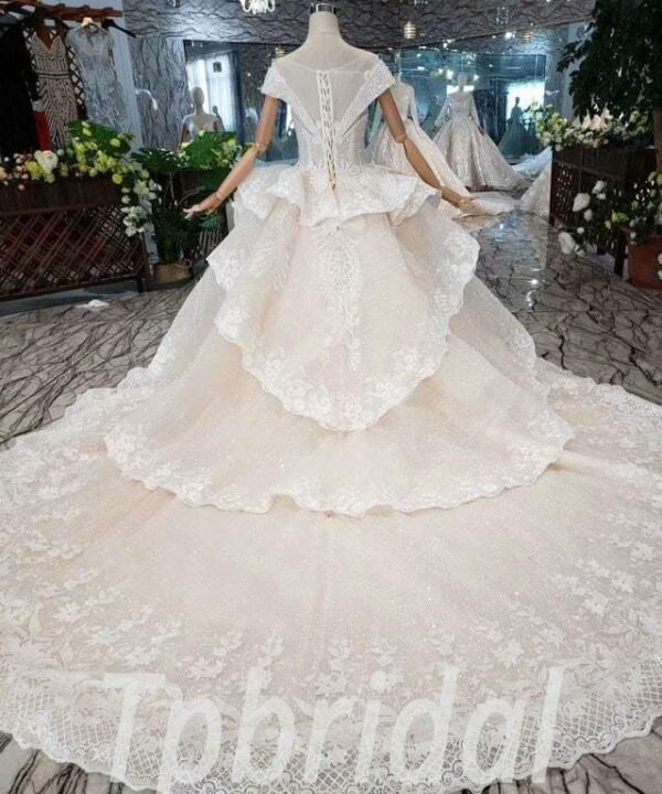 lace wedding dress champagne 551-05