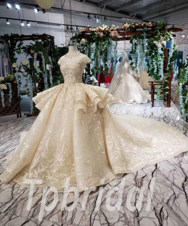short sleeve wedding dress 530-01