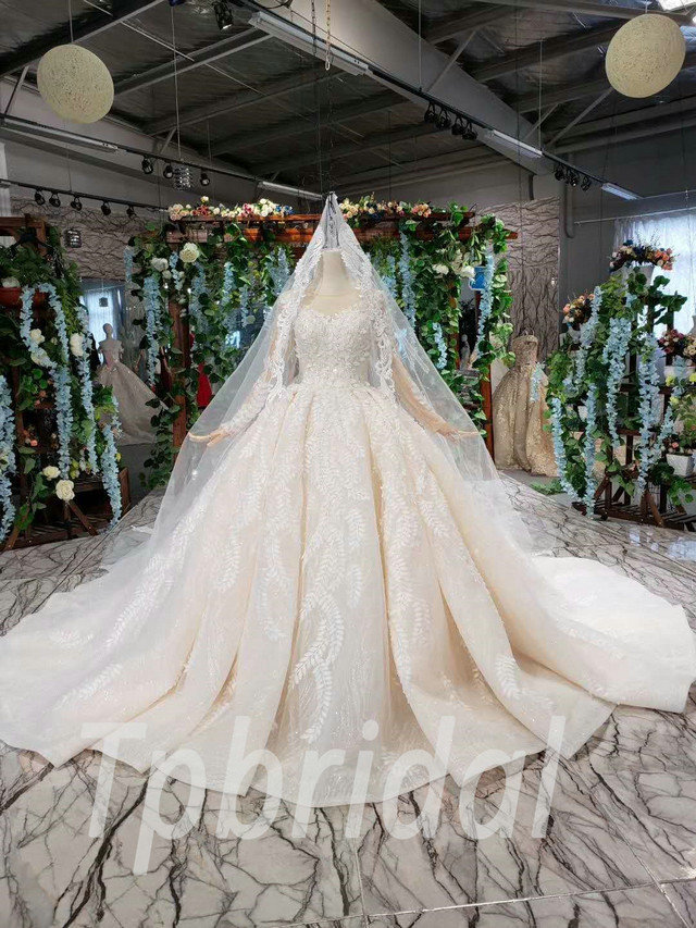 https://www.tpbridal.com/wp-content/uploads/2019/05/wedding-dress-with-veil-555-01.jpg