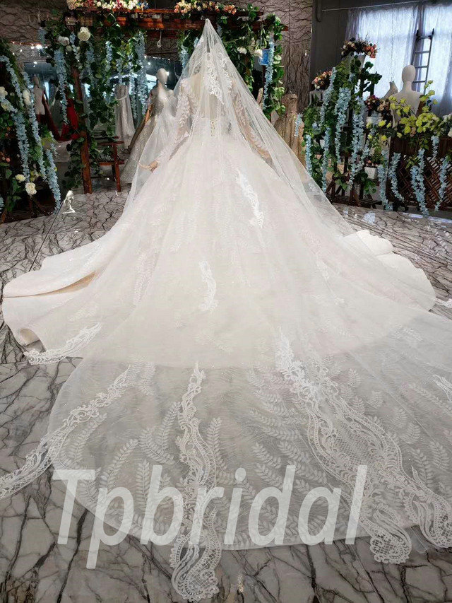 ball gown with veil