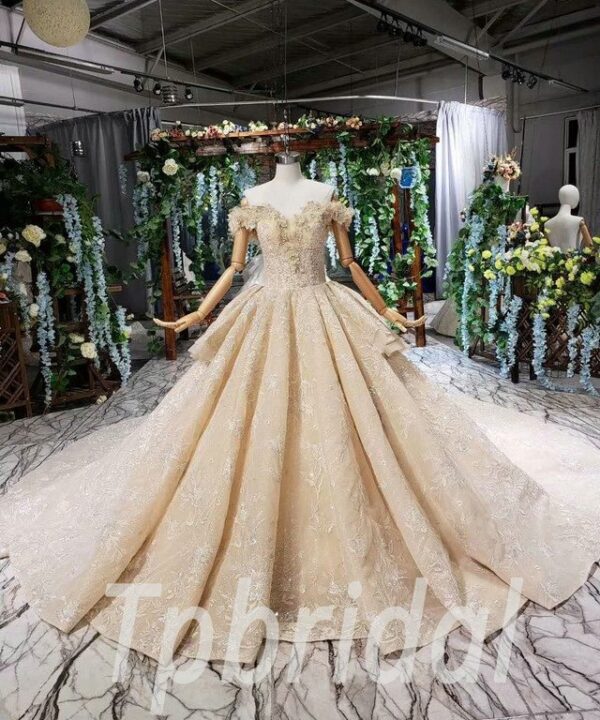 champagne princess wedding dress 561-01