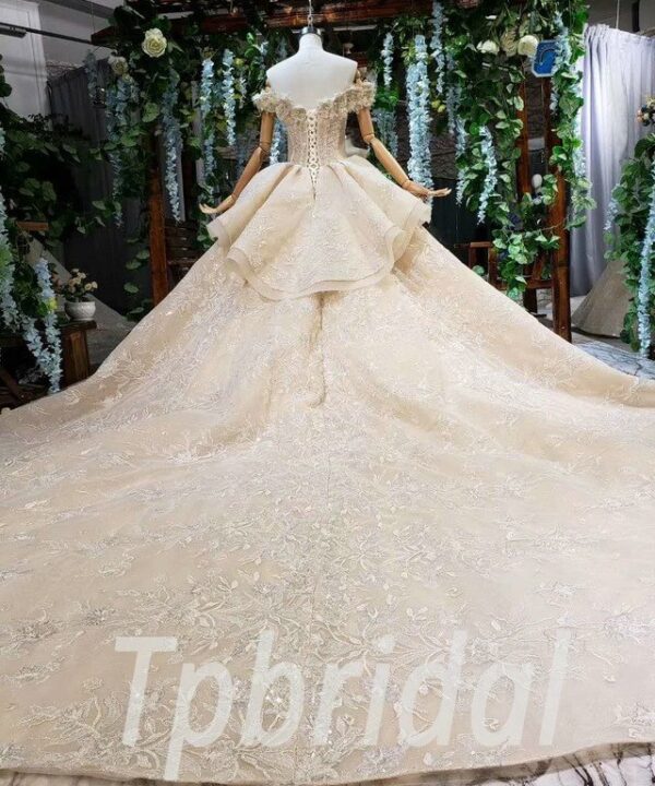 champagne princess wedding dress 561-08